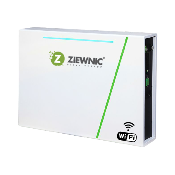 NEW WALL STAND LITHIUM BATTERY EUROPEAN 200AH-51.2V